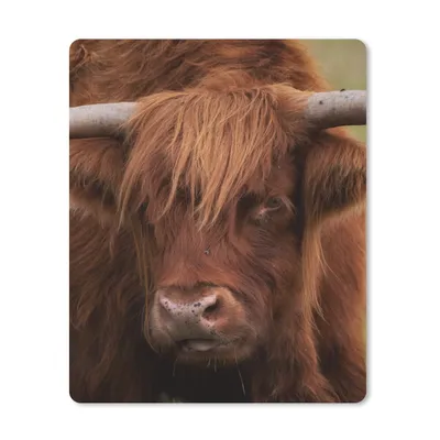 Produktbild von MuchoWow® Mauspad Mousepad Schottischer Highlander - Orange - Tiere 30x40 cm - Mousepads - Maus Mat - Pad - Mausunterlage - Mausmatten