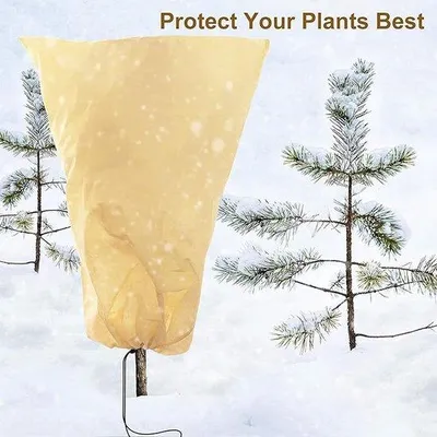 Image de Housse de protection pour plantes en hiver