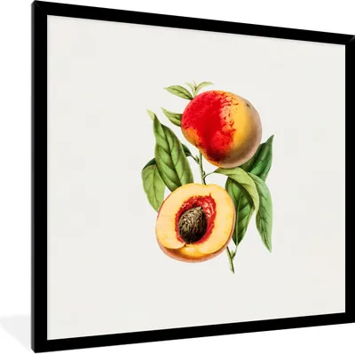 Produktbild von MuchoWow® Gerahmtes Poster Pfirsich - Frucht - Blatt 40x40 cm - Poster mit Schwarzem Bilderrahmen Wandposter Rahmen Foto Bilder - Mit Rahmen - Wanddekoration Schlafzimmer