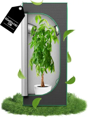 A potted plant inside a grow tent, with leaves floating around it.