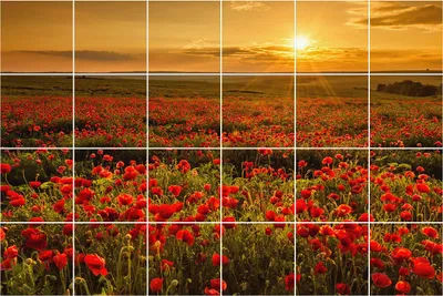 Produktbild von Fliesenaufkleber 20x20 cm – 24 Stück – Selbstklebend – Wasserfest – Pflegeleicht – Hitzebeständig – Für Küche & Bad – Blumenwiese bei Sonnenuntergang