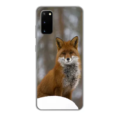 Produktbild von MuchoWow® Handyhülle Schutzhülle Hülle für Samsung Galaxy S20 Fuchs - Wald - Rot Silikon Softcase Handy Hülle - Bild
