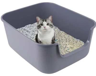 Obrázok produktu pre Omgoods – Mačacia toaleta s vysokými bočnicami a otvoreným vrchným okrajom – Odolná voči rozliatiu – 49 x 42 x 22 cm