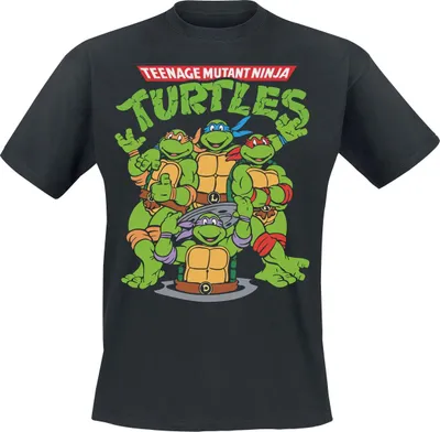 Produktbild von Teenage Mutant Ninja Turtles T-Shirt Herren Group schwarz 3XL