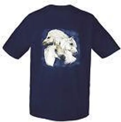 Produktbild von Kinder T-Shirt mit hochwertigem Print - Welsh Pony - 08136 dunkelblau - ©Kollektion Bötzel - Gr. 92-164 Größe - 110/116