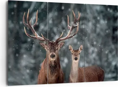 Produktbild von Bild auf Leinwand - Leinwandbild - 3 Teile - Hirsch Rentier Reh - 165x110cm - Wand Bild - Wanddeko - Wandbilder - Leinwanddruck - Bilder - Wanddekoration - Leinwand bilder - Wandbild - CE165x110-5060