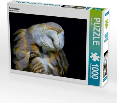 Produktbild von Calvendo Schleiereule 1000 Teile Puzzle quer 640x480mm, Klatt Arno; 7319326