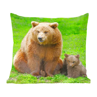 Produktbild von MuchoWow® Zierkissen Sofakissen Wohnzimmer Dekokissen 40x40 cm Bär - Gras - Junge - Foto Kissen - Schlafzimmer Dekoration