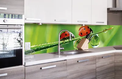 Produktbild von Küchenrückwand Folie selbstklebend MARIENKÄFER 260 x 60 cm - Klebefolie - Dekofolie - Spritzschutz für Küche -