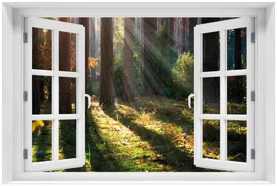 Produktbild von Wallario Premium Glasbild mit Fensterrahmen, freischwebende Optik, kräftige Farben, Größe 60 x 90 cm Motiv Sonnenstrahlen im Herbstwald