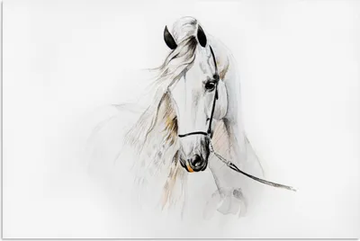 Produktbild von MuchoWow® Poster Pferd - Aquarell - Tiere - Weiß 120x80 cm - Bilder