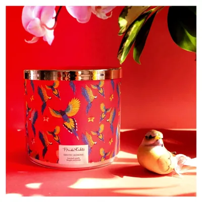 Produktbild von Duftkerze im Glas | Exotischer Jasmin | 3 Dochte | 60h Brenndauer | Jasmin-Duft | Geschenk für Frauen | Zitrone, Jasmin, Moschus, Minze | Raumduft & Dekoration