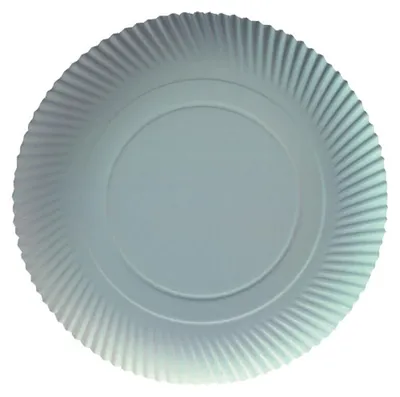 A single paper plate shown from a top-down perspective.