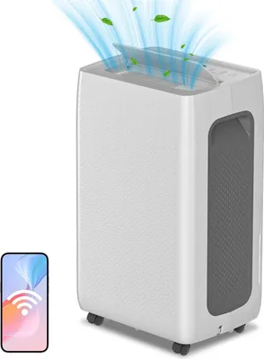 Image de Bettizia Déshumidificateur 26L/jour avec WIFI, 24H Timer, Déshumidificateur d'ambiance 4.5L Réservoir d'eau Déshumidificateur domestique silencieux pour pièces jusqu'à 30 m²