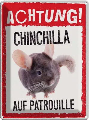 Produktbild von vianmo Blechschild 40x30 cm Achtung Chinchilla auf Patrouille Warnschild Hinweisschild Tier Haustier Sicherheit Vorsicht