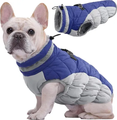 Immagine prodotto di Cappotto impermeabile per cani Blu Inverno Caldo per cani di piccola e grande taglia