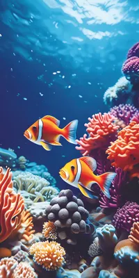 Produktbild von FEBE Strandtuch XXL 100x180 cm Goldfisch Badetuch Groß 100% Mikrofaser Handtuch Stranddecke Sommer-Handtüch