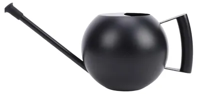 Image de Arrosoir noir en acier inoxydable (1000 ml) avec un long bec verseur et un embout amovible, idéal pour les plantes succulentes et les fleurs