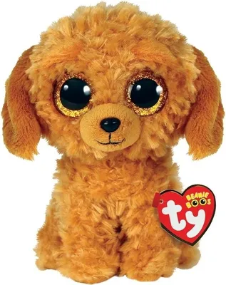Produktbild von Ty - Kuscheltiere - Beanie Boos - Golden Doodle Dog - 15cm