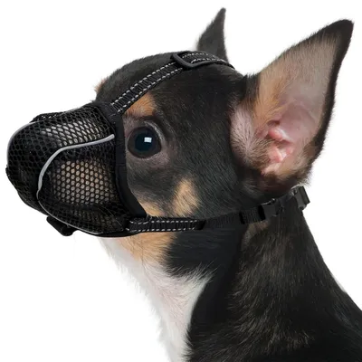 Immagine prodotto di Bocchetta protettiva per cani, traspirante, riflettente, regolabile, in rete, colore nero, taglia XS