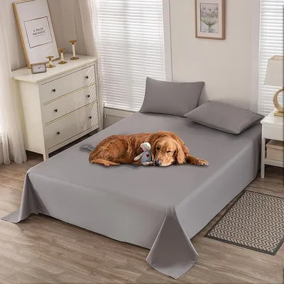 Image de Couverture imperméable pour animaux, 200 x 230 cm, antidérapante, pour canapé et lit