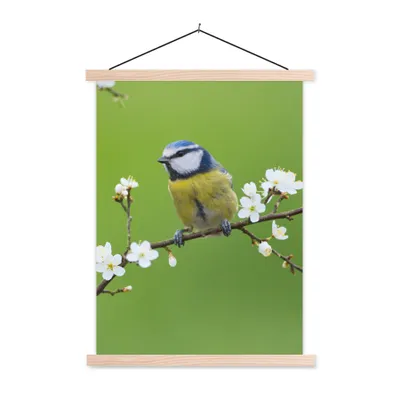 Produktbild von MuchoWow® Textilposter Blaumeise - Zweig - Blumen - Blühende Zweige - Vogel 40x53 cm mit holzfarbenen Rahmen - Schlafzimmer