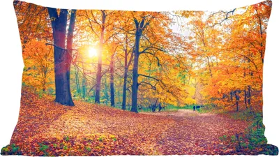 Produktbild von MuchoWow® Zierkissen Sofakissen Wohnzimmer Dekokissen 60x40 cm Bäume - Herbst - Wald - Herbstliche Blätter - Kopfkissen - Polster mit Foto