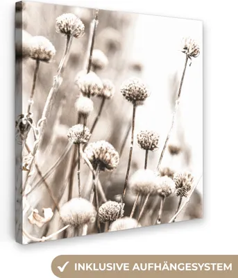 Produktbild von MuchoWow® - Leinwandbilder - Blumen - Pflanzen - Stillleben - Natur, Wandbild, Wanddeko Bilder Wohnzimmer, 20x20 cm