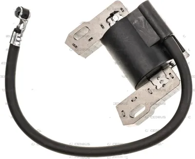 Image de Module d'allumage B&S Intek V-Twin 490006