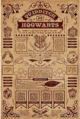 Harry Potter - Poster, Quidditch TA6062 (Einheitsgröße) (Goldbraun)