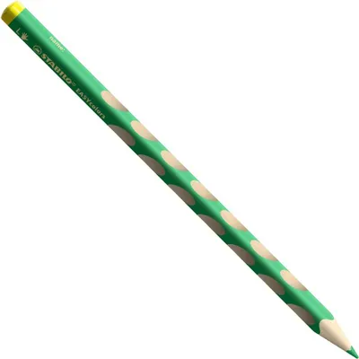 Obrázek produktu pro STABILO EASYcolors L, Zelená, 1 kusů