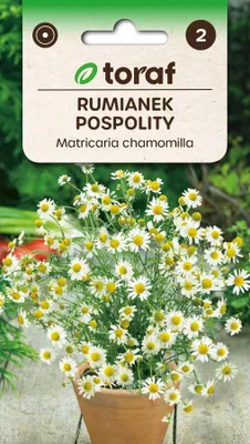 Zdjęcie produktu dla Nasiona ziół Rumianek Pospolity zioła do ogrodu - Toraf 311