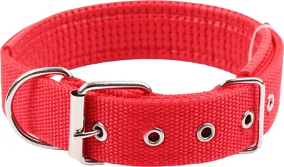 Produktbild von Haustierhalsband, verstellbar, Nylon, Hundehalskreis, langlebiger Haustierhalsgurt mit Traktionsring, Haustierbedarf