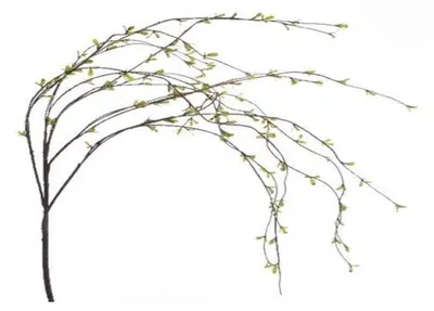 Produktbild von Kunstpflanze hängend 34x112cm Grün