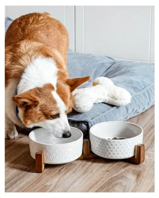 Produktbild von Hundenäpfe aus Keramik, Set mit Akazienholzständer, 3 Tassen Hundefutter und Wassernapf für kleine bis mittelgroße Hunde, Haustiernäpfe