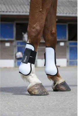 Produktbild von Norton Equestrian Logo Sehnenstiefel Weiß Pony Weiß Pony