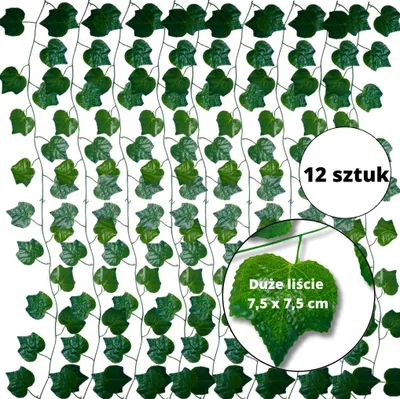 Obrázok produktu pre Veniec z brečtanu - 235 cm - 12 kusov