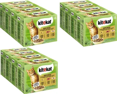 Produktbild von KITEKAT™ Multipack Portionsbeutel Bunte Vielfalt 3 Varietäten Huhn, Rind, Lachs in Sauce 12 x 12 x 85g