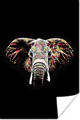 Produktbild von MuchoWow® Poster Elefant - Farbe - Farben 40x60 cm - Plakate für die Wand - Poster Babyzimmer