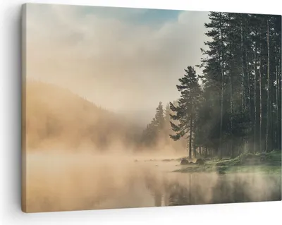 Produktbild von Bild auf Leinwand - Leinwandbild - Einteilig - Nebel See Wald - 70x50cm - Wand Bild - Wanddeko - Wandbilder - Leinwanddruck - Bilder - Wanddekoration - Leinwand bilder - Wandbild - AA70x50-4440