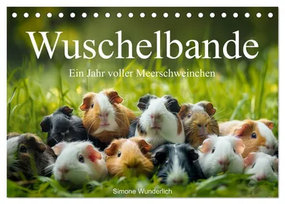 Produktbild von Wuschelbande - Ein Jahr voller Meerschweinchen (Tischkalender 2027 DIN A5 quer), CALVENDO Monatskalender
