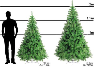 Typ vianočného stromčeka Jedľa 770 vetiev 210 cm
