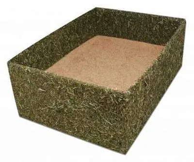 Buddel-Box 5 l mit Petersilienwurzeln, 1 Stück