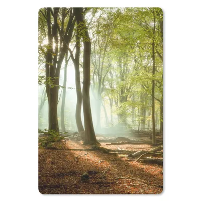 Produktbild von MuchoWow® Mauspad Mousepad Wald - Sonne - Jahreszeiten - Landschaft 40x60 cm - Mousepads - Maus Mat - Pad - Mausunterlage - Schreibtisch Accesoire