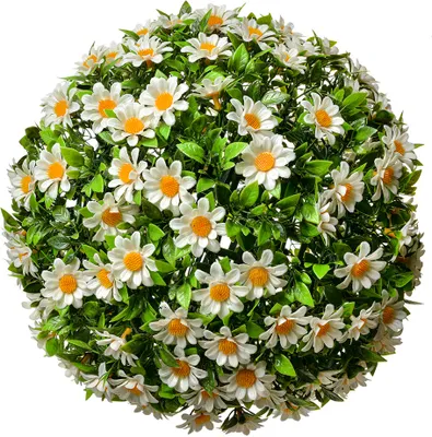 Immagine prodotto di Palla di bosso Clayre & Eef Ø 30 cm Bianco Verde Plastica