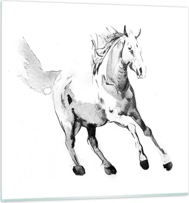 Produktbild von Bilder auf glas - Einteilig - Pferd Galopp Tier - 70x70cm - Glasbilder - Wandbilder - Bilder - zum Aufhängen bereit - Wanddekoration aus Glas - Glas Bilder - Wandbild auf Glas - GAC70x70-5117