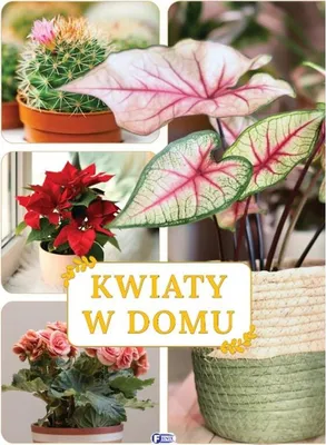 Zdjęcie produktu dla Kwiaty w domu