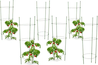 Produktbild von relaxdays 6 x Rankhilfe Tomaten