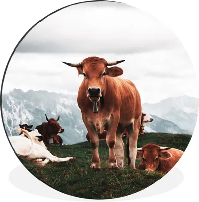 Produktbild von MuchoWow® Aluminium Wandkreis Tiere - Kuh - Berg Ø 90 cm Wanddeko Modern Wohnzimmer - Mauerkreis - Wandbilder - Runde Bild - Bild aus Aluminium - Schlafzimmer - Wohnzimmerdekoration - Wand Dekoration