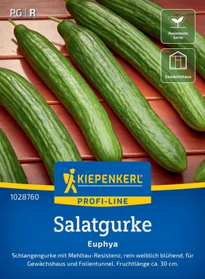 Produktbild von Kiepenkerl Salatgurkensamen Euphya F1 Cucumis sativus 5 Pflanzen